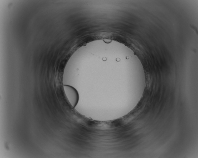 X0000097780236200803070920