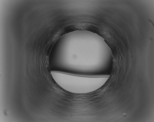 X0000097780237200803070920