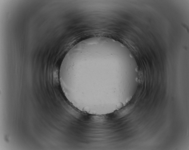 X0000097780238200803070920