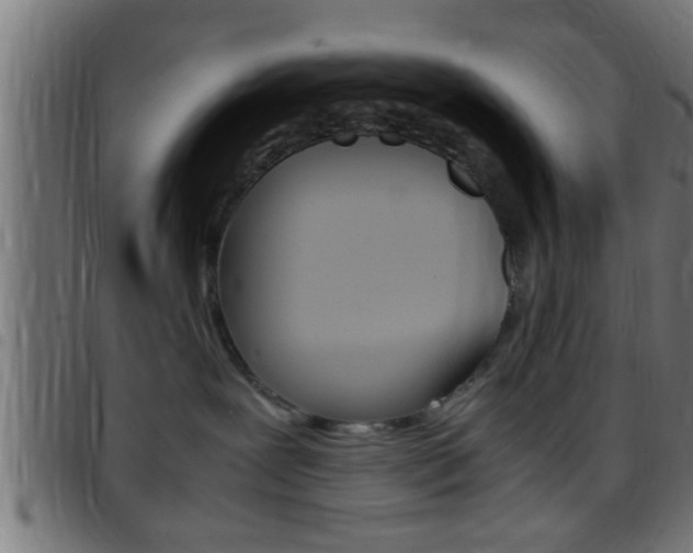 X0000097780239200803070920