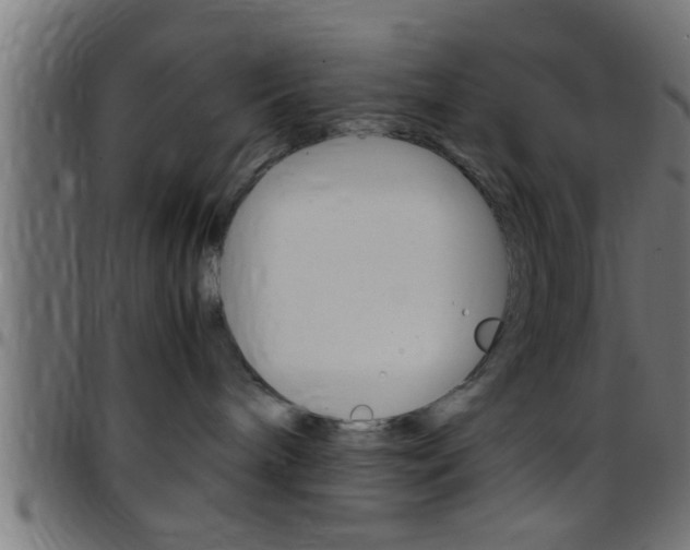 X0000097780240200803070920
