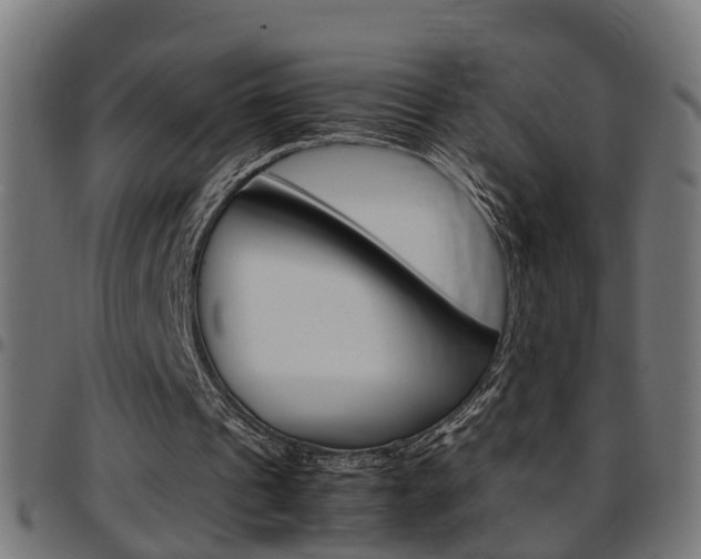 X0000097780241200803070919