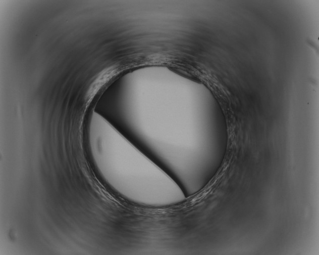X0000097780242200803070919