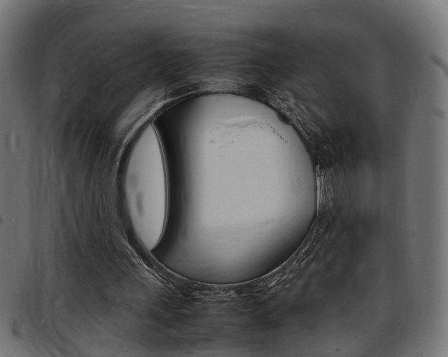 X0000097780243200803070919