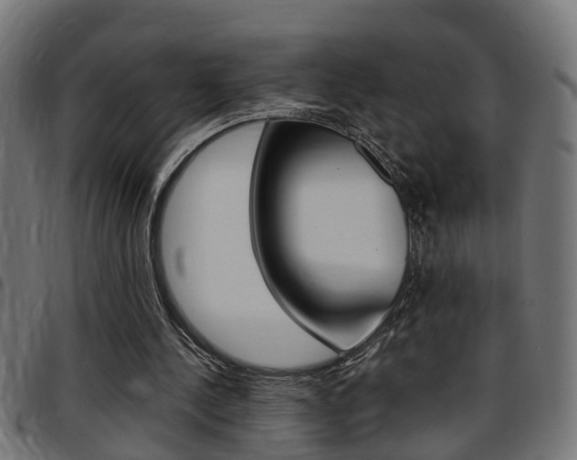 X0000097780244200803070919