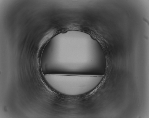 X0000097780245200803070919