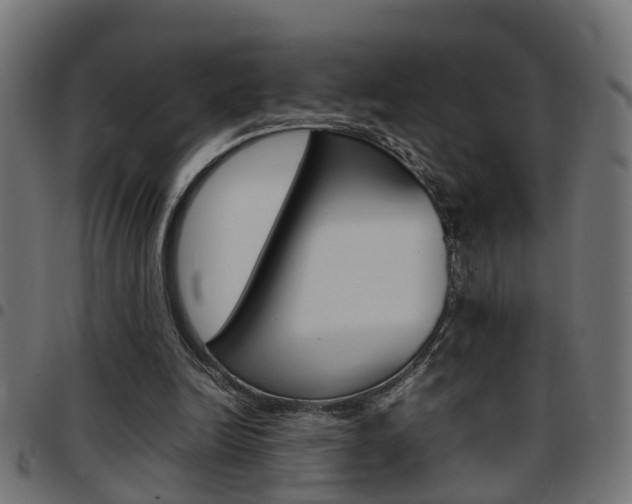X0000097780246200803070919