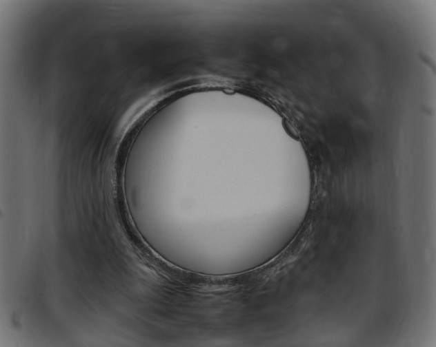 X0000097780247200803070919