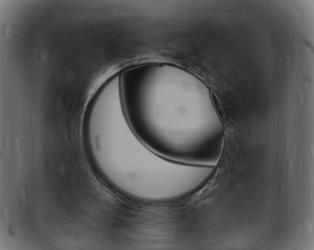 X0000097780248200803070919