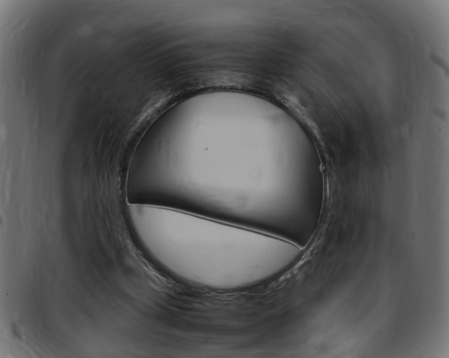 X0000097780249200803070919