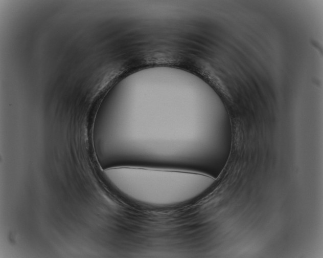 X0000097780251200803070919