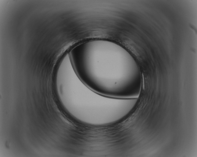 X0000097780252200803070919