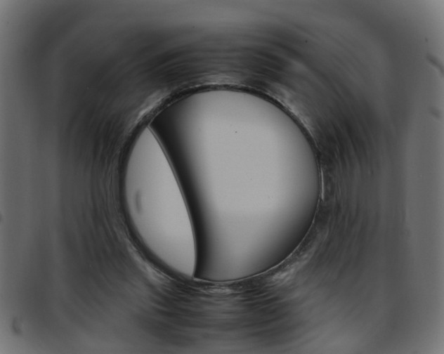 X0000097780253200803070919