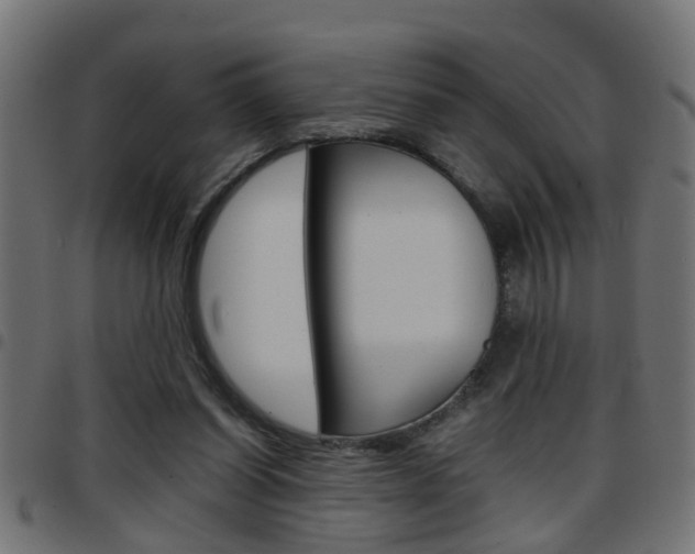 X0000097780254200803070919