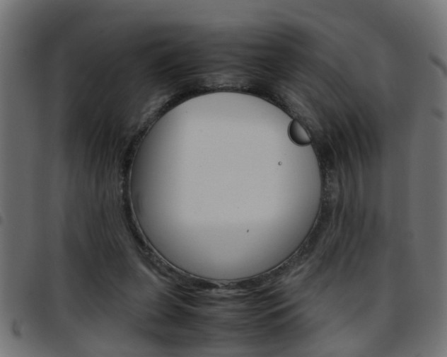 X0000097780255200803070919