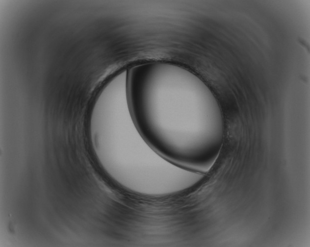 X0000097780256200803070919