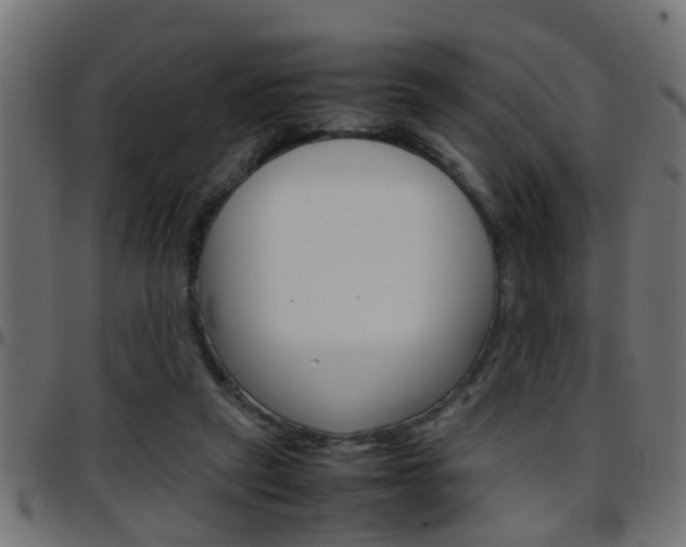X0000097780257200803070919