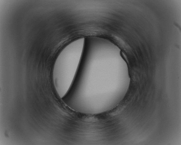 X0000097780258200803070919