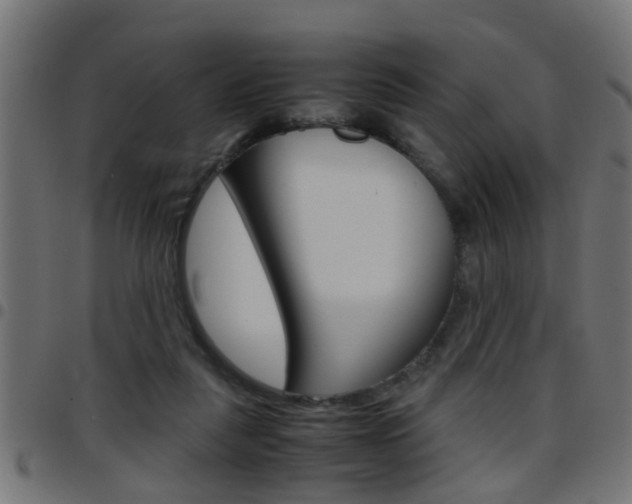 X0000097780259200803070919