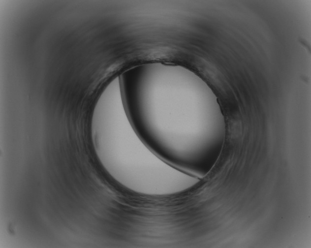 X0000097780260200803070919