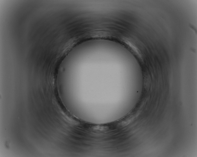 X0000097780261200803070919
