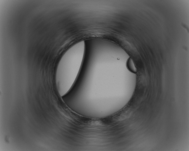 X0000097780262200803070919