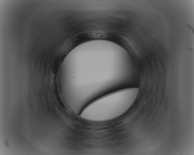 X0000097780263200803070919