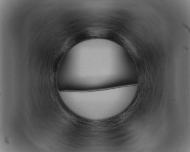 X0000097780265200803070920