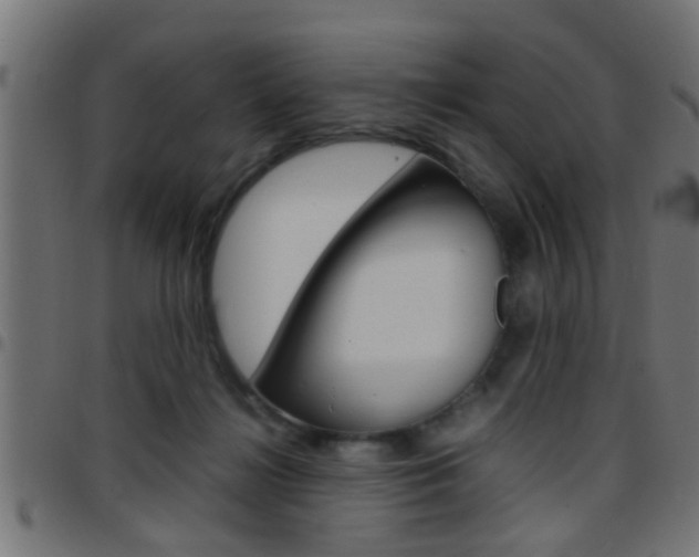 X0000097780268200803070920