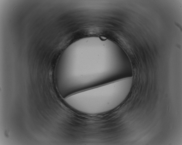 X0000097780269200803070920