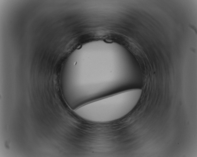 X0000097780270200803070920