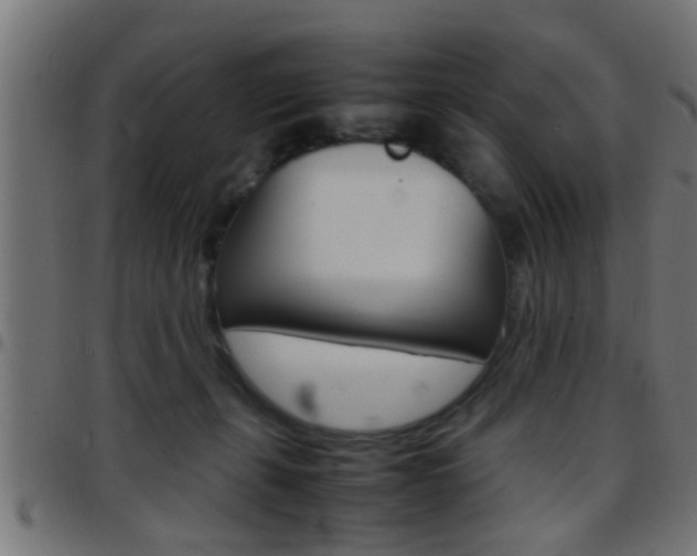 X0000097780271200803070920
