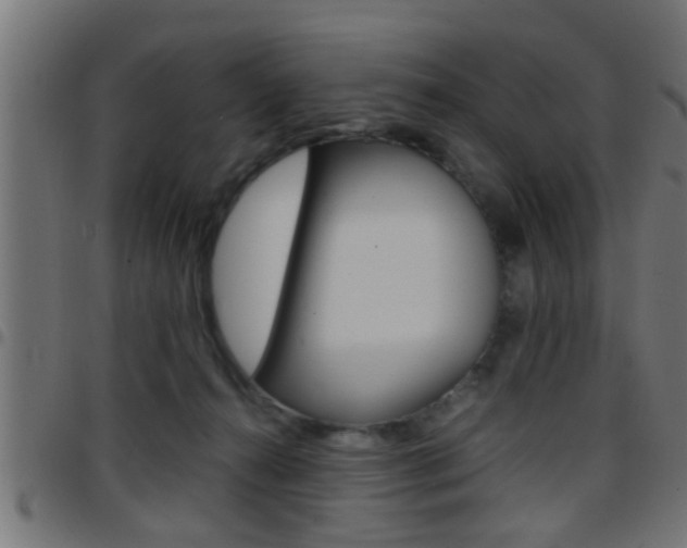 X0000097780272200803070920
