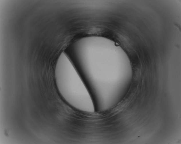 X0000097780273200803070920