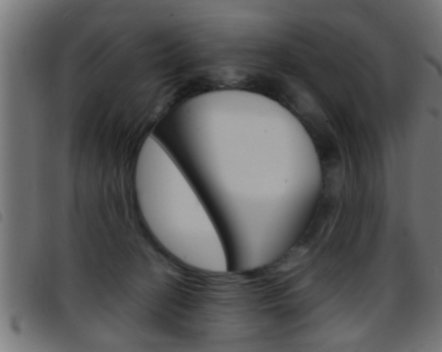 X0000097780274200803070920