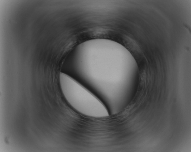 X0000097780278200803070920