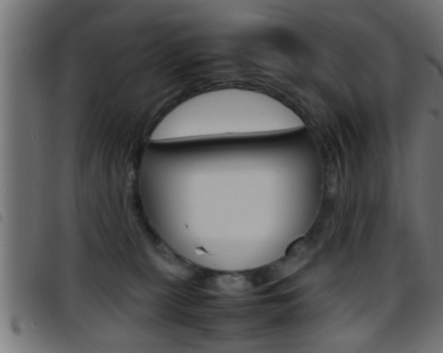 X0000097780279200803070920