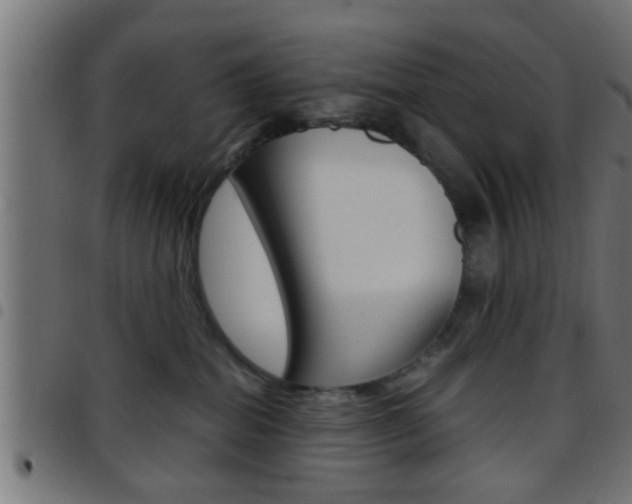 X0000097780282200803070920