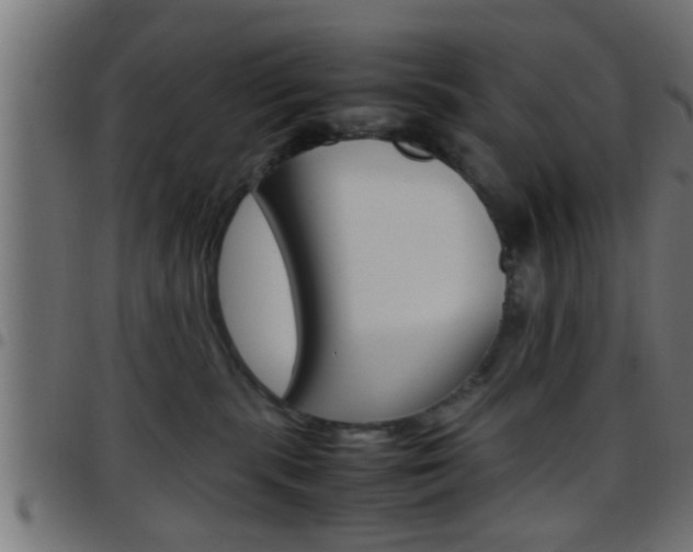 X0000097780283200803070920