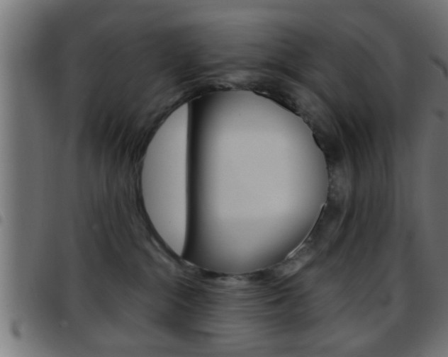 X0000097780284200803070920