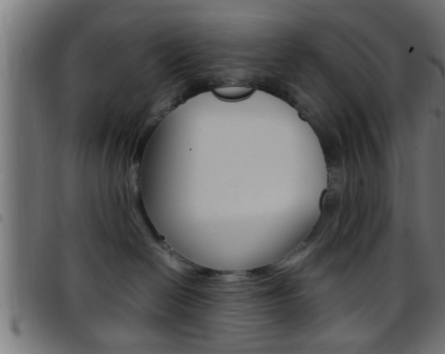 X0000097780286200803070920