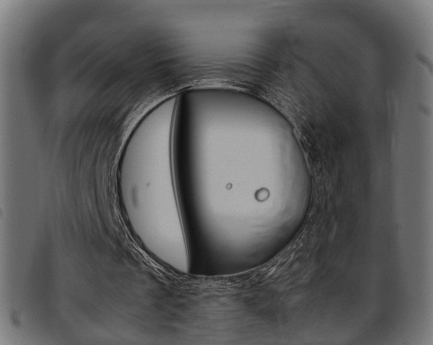 X0000097780289200803070919