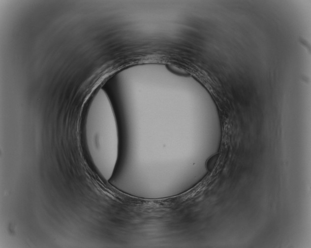 X0000097780290200803070919