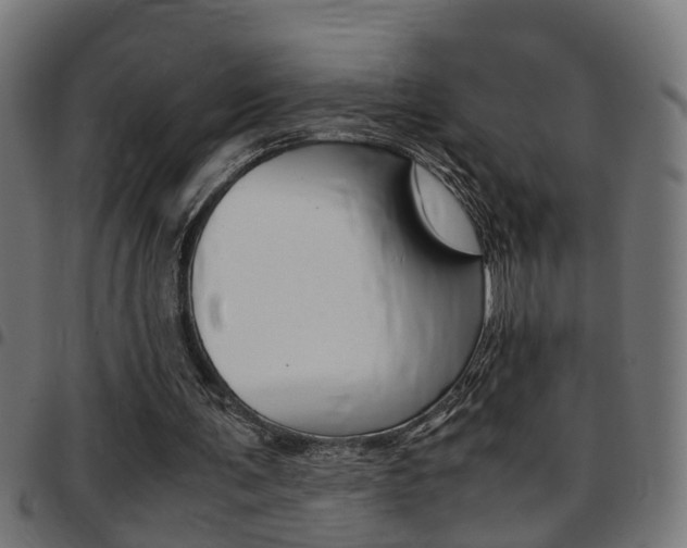 X0000097780291200803070919
