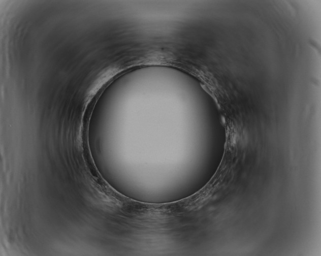 X0000097780292200803070919