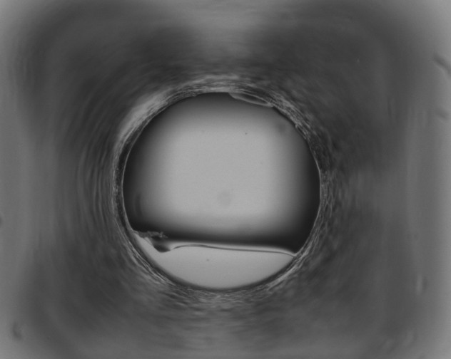 X0000097780293200803070919