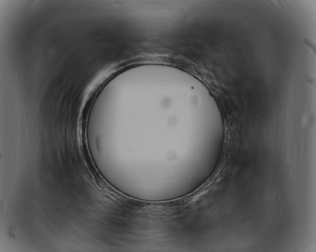 X0000097780294200803070919
