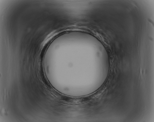 X0000097780295200803070919