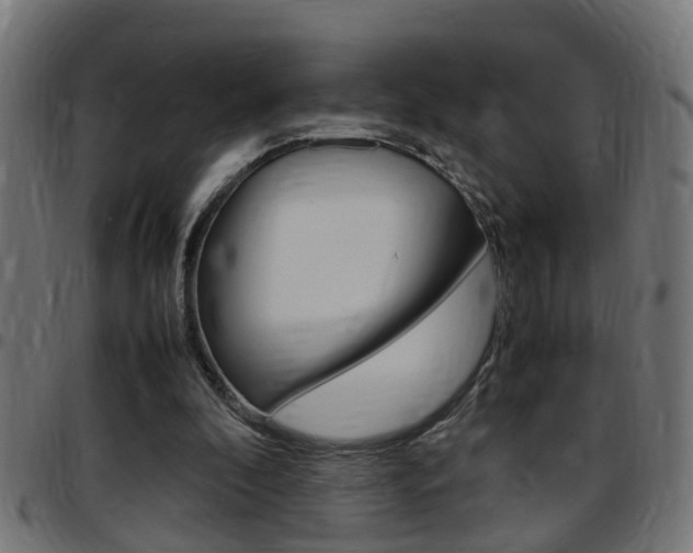 X0000097780296200803070919