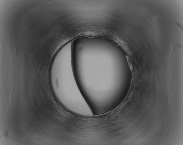 X0000097780297200803070919